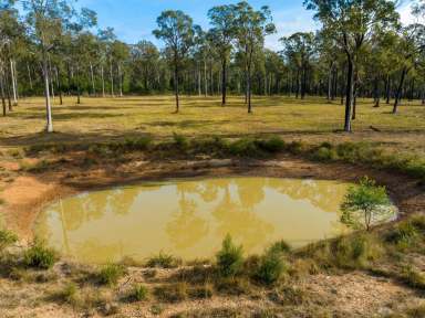 Farm For Sale - NSW - Werombi - 2570 - Unique Rural Offering  (Image 2)