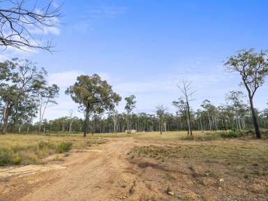 Farm For Sale - NSW - Werombi - 2570 - Unique Rural Offering  (Image 2)