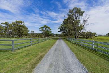 Farm For Sale - NSW - Mulloon - 2622 - The perfect weekender or farm  (Image 2)