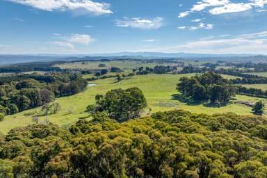 Farm For Sale - NSW - Reidsdale - 2622 - A place to call home, or getaway?  (Image 2)