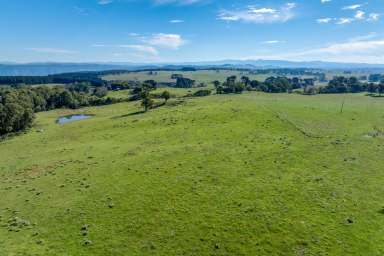 Farm For Sale - NSW - Reidsdale - 2622 - A place to call home, or getaway?  (Image 2)