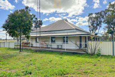 Farm For Sale - NSW - Hermidale - 2831 - Farming, Grazing and Grain Storage  (Image 2)