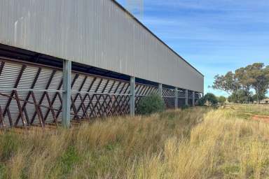 Farm For Sale - NSW - Hermidale - 2831 - Farming, Grazing and Grain Storage  (Image 2)