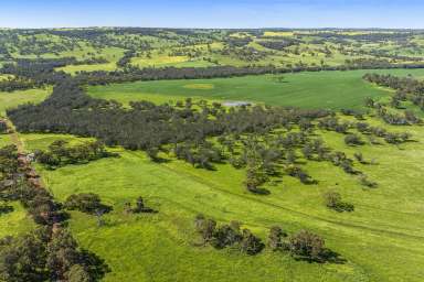 Farm For Sale - WA - Bindoon - 6502 - Historic Fertile Land  (Image 2)