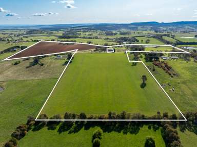 Farm Auction - NSW - Forest Reefs - 2798 - Rich Fertile Country with Panoramic Views  (Image 2)