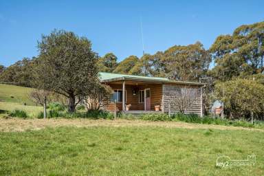 Farm For Sale - TAS - Lilydale - 7268 - Timber Clad cottage on 2 titles in a beautiful location with sun and views.  (Image 2)