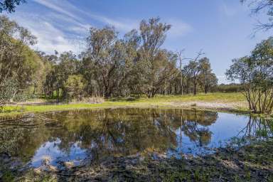 Farm For Sale - WA - Mooliabeenee - 6504 - "Valley Views"  (Image 2)