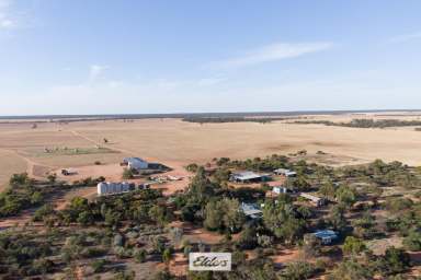 Farm For Sale - VIC - Werrimull - 3496 - "PENDREA" – Arguably one of the Millewa's finest farms  (Image 2)