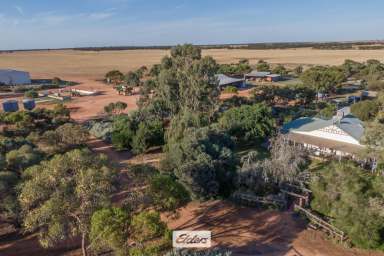 Farm For Sale - VIC - Werrimull - 3496 - "PENDREA" – Arguably one of the Millewa's finest farms  (Image 2)