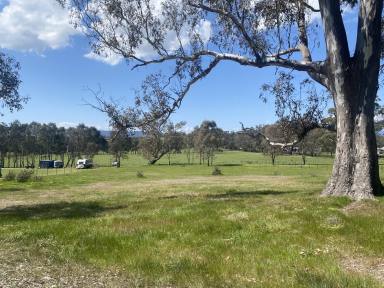 Farm For Sale - VIC - Alexandra - 3714 - Build your country retreat!  (Image 2)