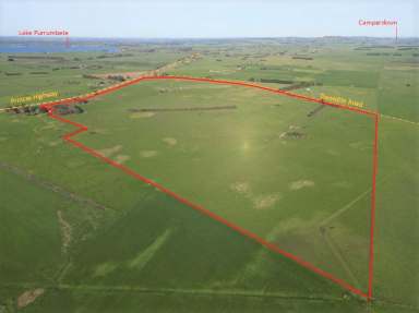 Farm For Sale - VIC - Weerite - 3260 - Dairy / Beef / Sheep / Lifestyle  (Image 2)