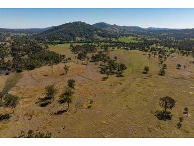 Farm For Sale - NSW - Krambach - 2429 - KRAMBACH RARITY  (Image 2)