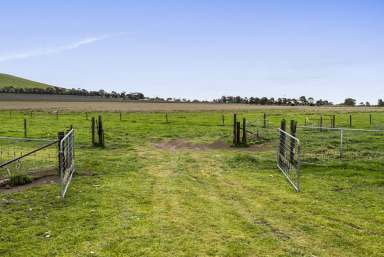 Farm For Sale - VIC - Carisbrook - 3464 - "MT MOOLORT ESTATE"  (Image 2)