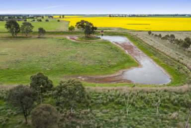 Farm For Sale - VIC - Carisbrook - 3464 - "MT MOOLORT ESTATE"  (Image 2)