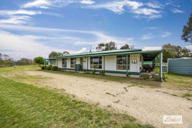 Farm For Sale - VIC - Crowlands - 3377 - Set up perfectly for horses and dogs  (Image 2)