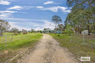 Farm For Sale - VIC - Crowlands - 3377 - Set up perfectly for horses and dogs  (Image 2)