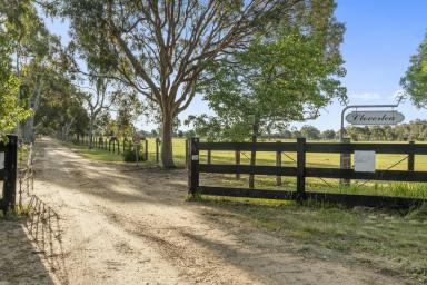 Farm For Sale - VIC - Euroa - 3666 - "Cloverlea" - A Thoroughbred Haven, A Strategic Parcel of Land  (Image 2)