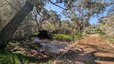 Farm For Sale - WA - Neergabby - 6503 - 245.3 Acres - Fantastic Location and Investment  (Image 2)