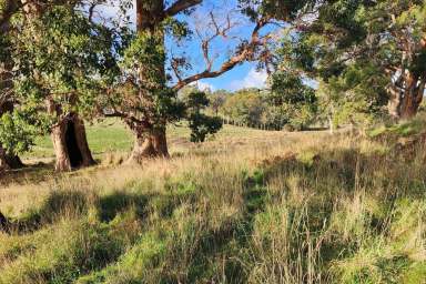 Farm For Sale - TAS - Koonya - 7187 - Stunning 11.3-Acre Property with Breathtaking Views in Koonya  (Image 2)