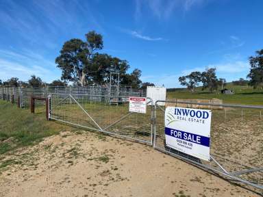 Farm For Sale - SA - Eden Valley - 5235 - 65.67 Ha of quality Eden Valley grazing country. Close to main Barossa towns. Your country residence awaits (STCC)  (Image 2)