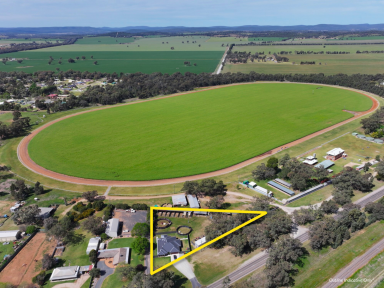 Farm Auction - NSW - Parkes - 2870 - Modern Comfort Meets Equestrian Lifestyle - A Truly Unique Opportunity!  (Image 2)