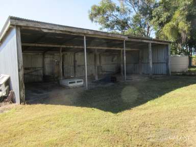 Farm Sold - QLD - Moore Park Beach - 4670 - Excellent Farming Opportunity.  (Image 2)