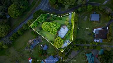 Farm Auction - QLD - Pinbarren - 4568 - Charming Noosa Hinterland Home with Mountain Views  (Image 2)