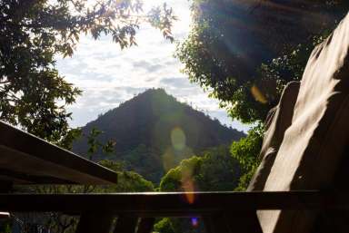 Farm Auction - QLD - Pinbarren - 4568 - Charming Noosa Hinterland Home with Mountain Views  (Image 2)