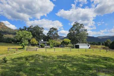 Farm For Sale - NSW - Jerrys Plains - 2330 - 200 Acres & 2 Homes  (Image 2)