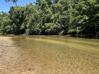 Farm Tender - QLD - Jarra Creek - 4854 - High-quality Drought Proof Cattle Property near Tully with Creeks, Home, Sheds & Cattle Yards. Sale by EOI closing 12/11/2024 at 5 pm  (Image 2)