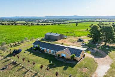 Farm Auction - NSW - Cowra - 2794 - RENOVATED, EXPANSIVE HOME SET ON 313ACRES* JUST 3MINS FROM TOWN!  (Image 2)