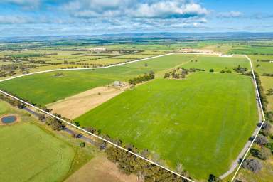 Farm Sold - NSW - Cowra - 2794 - RENOVATED, EXPANSIVE HOME SET ON 313ACRES* JUST 3MINS FROM TOWN!  (Image 2)