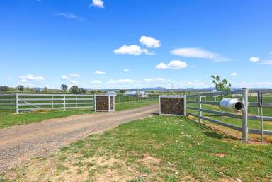 Farm Auction - NSW - Tamworth - 2340 - SEEING IS BELIEVING  (Image 2)