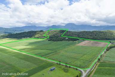 Farm For Sale - QLD - Cooya Beach - 4873 - SIMPLY BREATHTAKING  (Image 2)