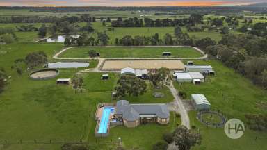 Farm For Sale - VIC - Moorooduc - 3933 - Rural Lifestyle Meets Equestrian Excellence on 10 Acres  (Image 2)