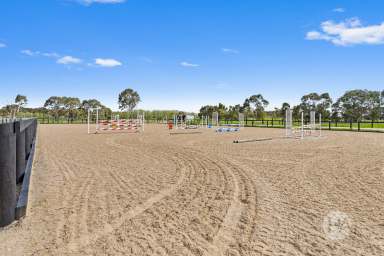 Farm For Sale - VIC - Moorooduc - 3933 - Rural Lifestyle Meets Equestrian Excellence on 10 Acres  (Image 2)