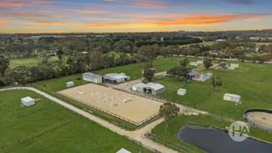 Farm For Sale - VIC - Moorooduc - 3933 - Rural Lifestyle Meets Equestrian Excellence on 10 Acres  (Image 2)