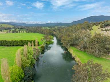 Farm For Sale - VIC - Thornton - 3712 - ICONIC ESTATE WITH 1.9KM OF GOULBURN RIVER FRONTAGE  (Image 2)