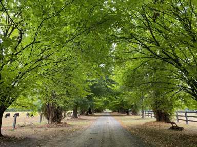 Farm For Sale - VIC - Thornton - 3712 - RARE AND ICONIC ESTATE ON THE GOULBURN RIVER  (Image 2)