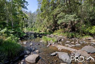 Farm For Sale - NSW - Upper Horseshoe Creek - 2474 - Creekside Rainforest Retreat  (Image 2)