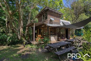 Farm For Sale - NSW - Upper Horseshoe Creek - 2474 - Creekside Rainforest Retreat  (Image 2)