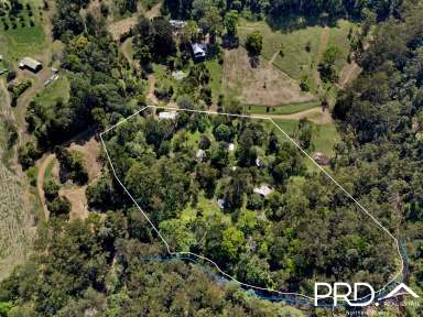 Farm For Sale - NSW - Upper Horseshoe Creek - 2474 - Creekside Rainforest Retreat  (Image 2)