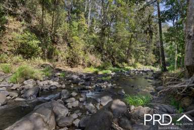 Farm For Sale - NSW - Upper Horseshoe Creek - 2474 - Creekside Rainforest Retreat  (Image 2)