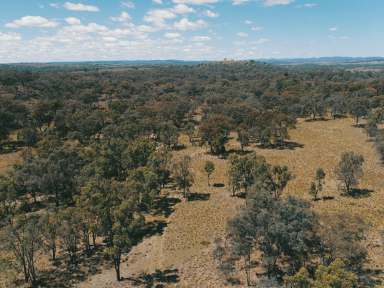 Farm For Sale - QLD - Stanthorpe - 4380 - OFTEN SOUGHT, SELDOM FOUND  (Image 2)