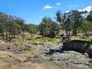 Farm For Sale - QLD - Stanthorpe - 4380 - OFTEN SOUGHT, SELDOM FOUND  (Image 2)