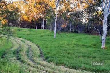 Farm For Sale - QLD - Gootchie - 4650 - WHAT A BARGAIN!  (Image 2)