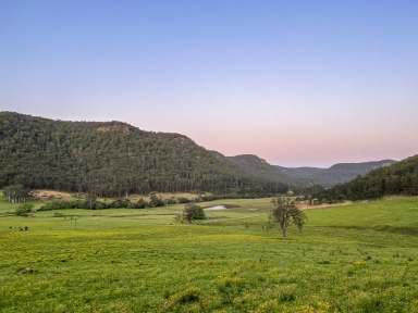 Farm For Sale - NSW - Laguna - 2325 - 101 Acres of the Finest Pasture!  (Image 2)