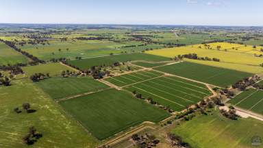 Farm For Sale - VIC - Pine Lodge - 3631 - "Beards"  (Image 2)