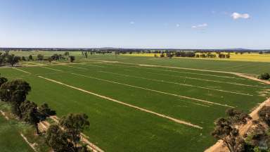 Farm For Sale - VIC - Pine Lodge - 3631 - "Beards"  (Image 2)