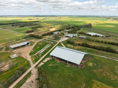 Farm For Sale - VIC - Bamawm - 3561 - Drought Proof Irrigated Dairy/Grazing Opportunity  (Image 2)